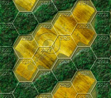 Crops